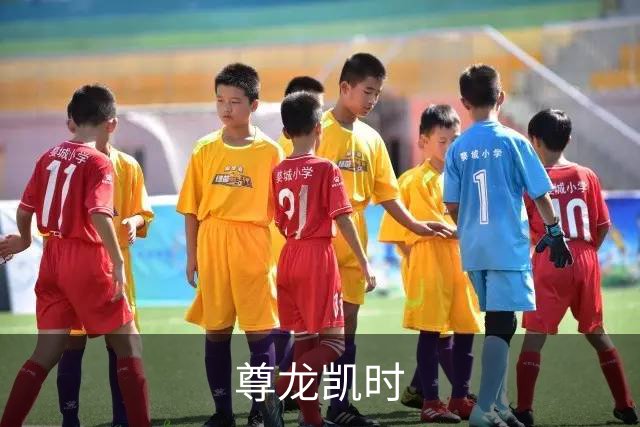 关于尊龙凯时